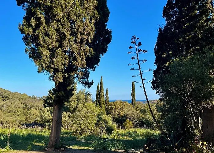 Les Gites D\'Ostriconi - Villa Ogliastro