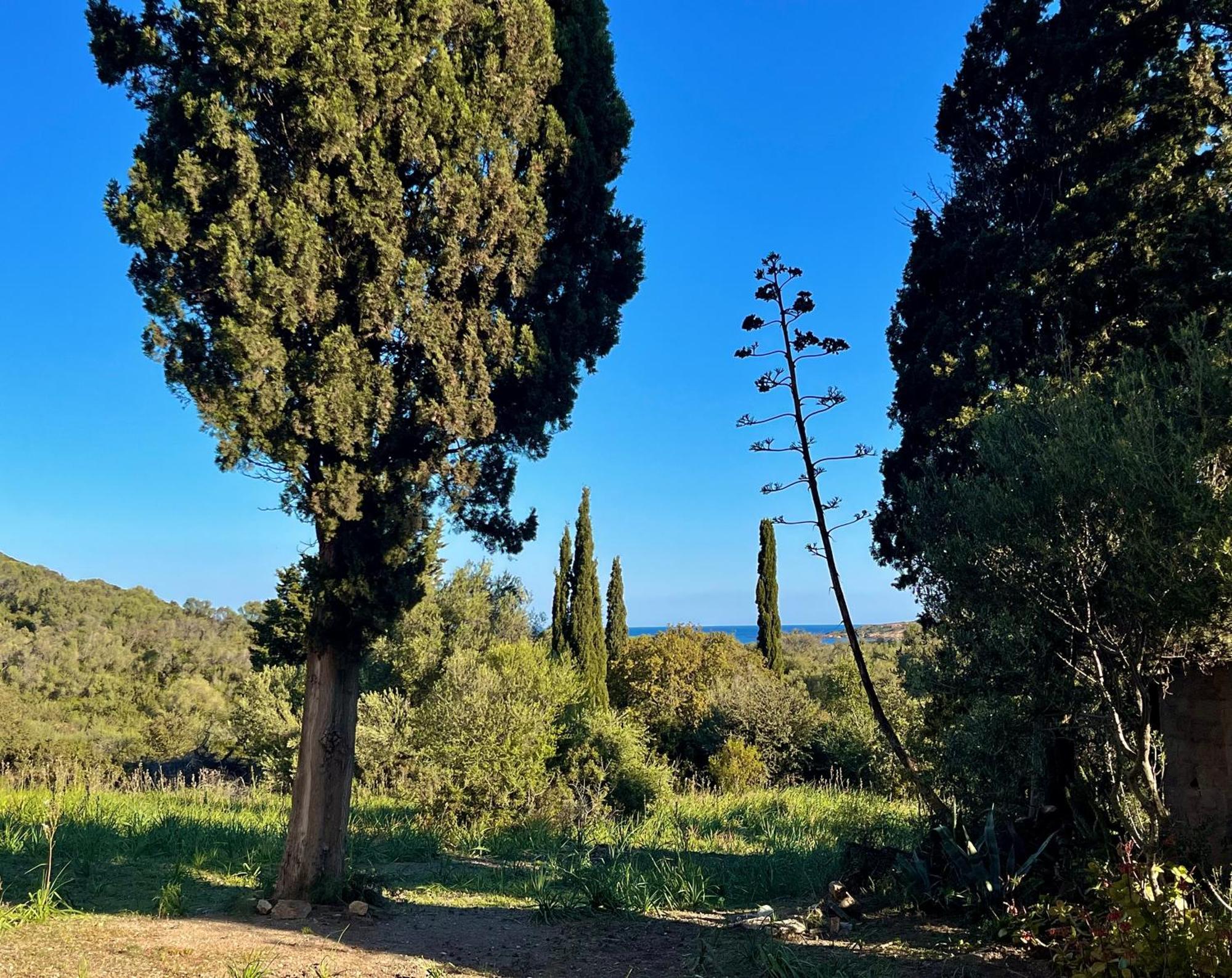 Holiday home Les D'ostriconi - Ogliastro *