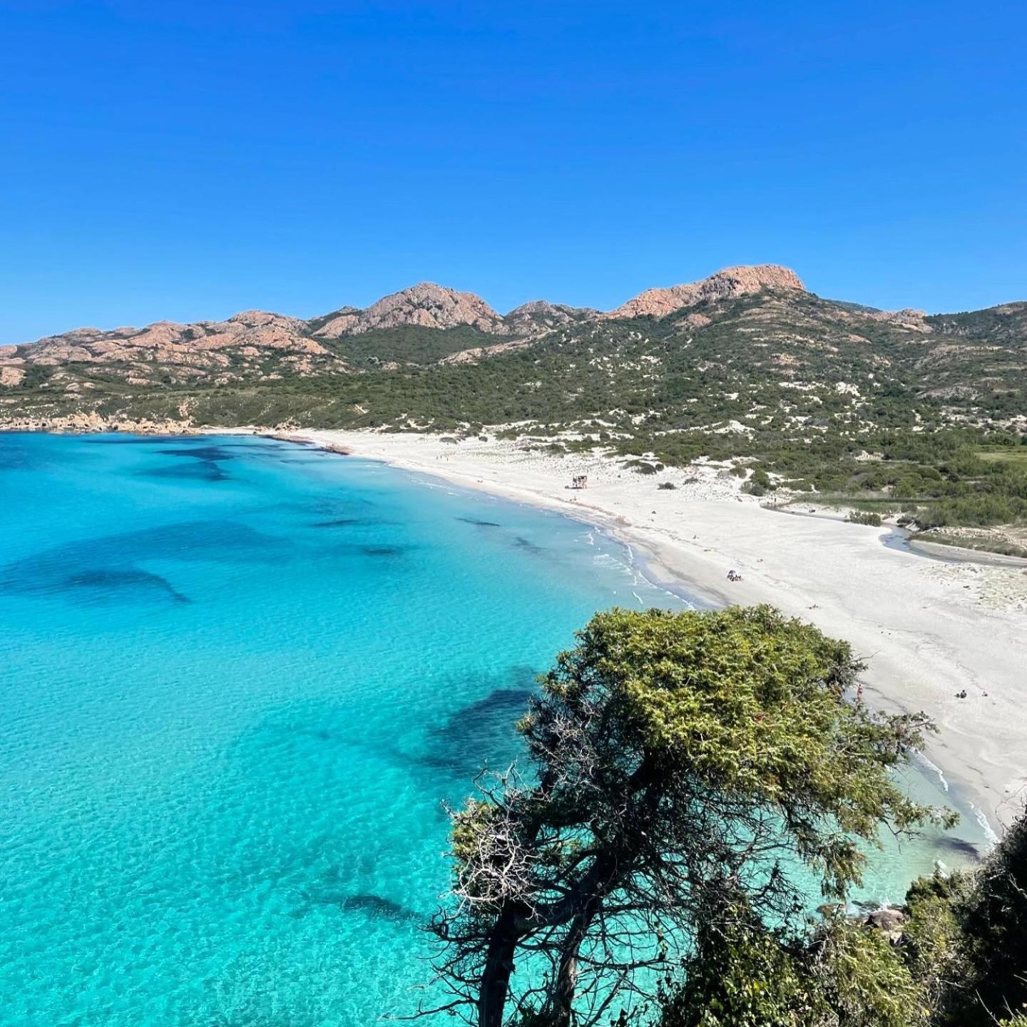 Les D'ostriconi - Ogliastro * Palasca (Corsica)