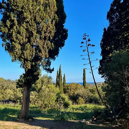 Les Gites D'Ostriconi - Villa Ogliastro Palasca  Extérieur photo
