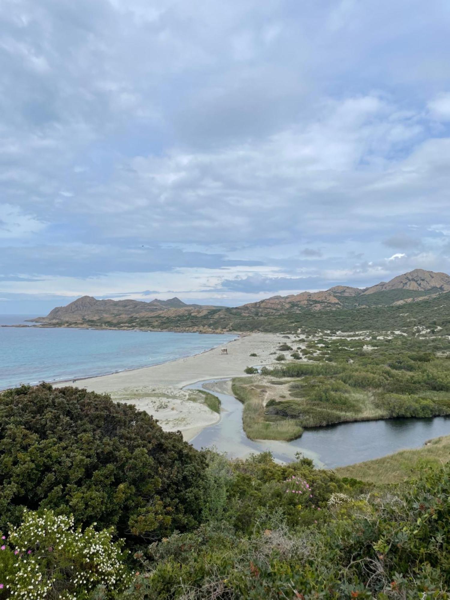 Les D'ostriconi - Ogliastro * Palasca (Corsica)